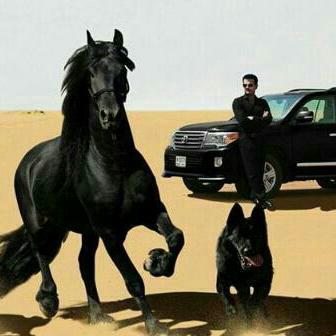 Бакыт Мамишов