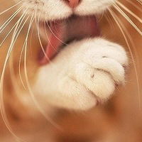 Наталия Андрианова