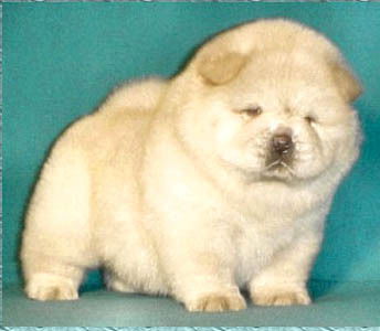 Евгения Зотова