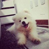 Настя Распопова