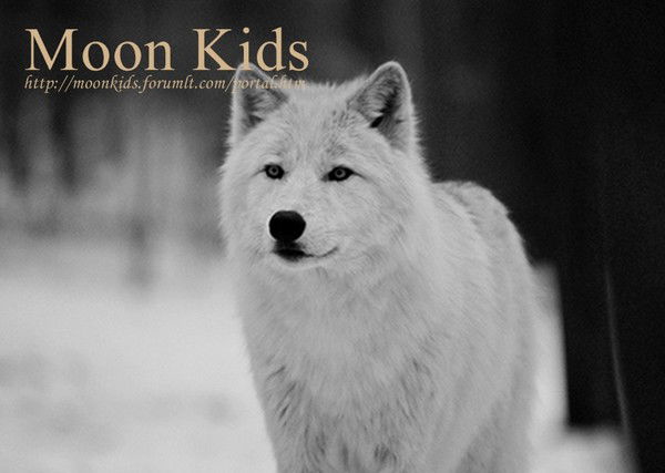 Юрий Бледный