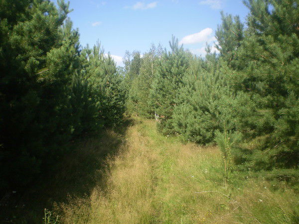 Марина Нуштаева