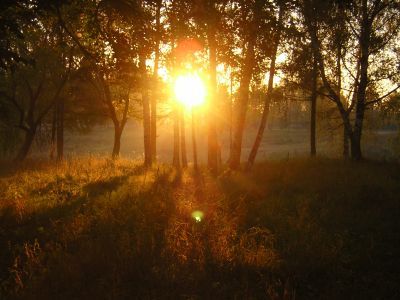 Гульнара Омарова