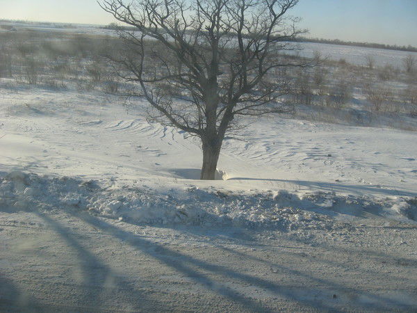 Виктория Мозулевская