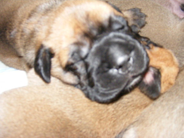 Мария Пеняева Пеняева