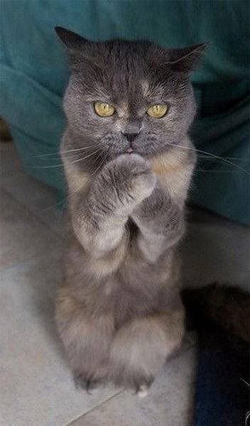 Михаил Холманских