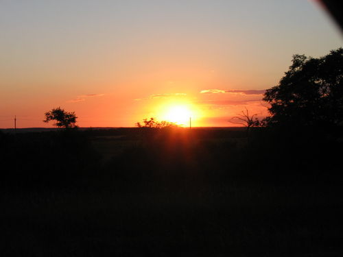 Алексей Ткачев