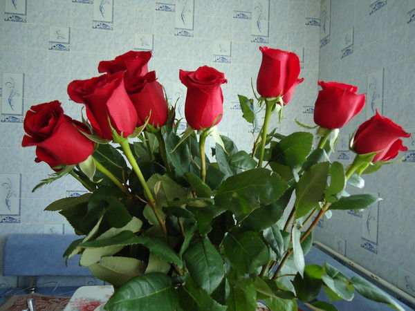 Оксана Смирнова