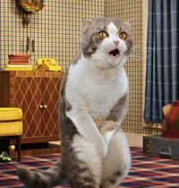 Ольга Крапивина