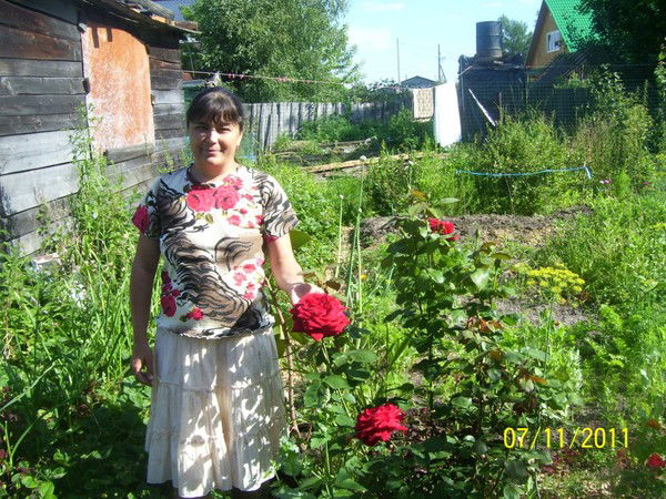 Елена Сорокина