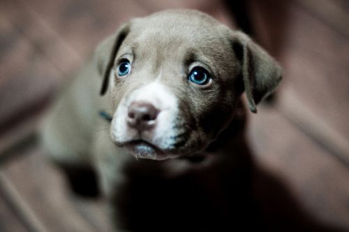 Кирилл Лугачёв