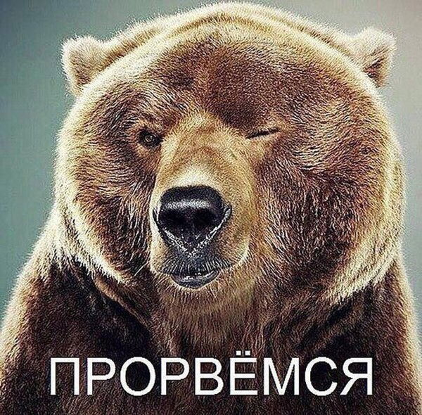 Дмитрий Лутовинов