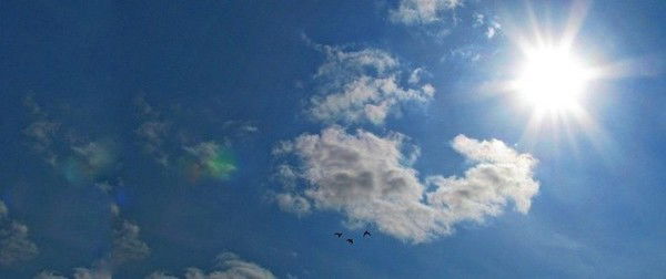 Наталья Имшенецкая