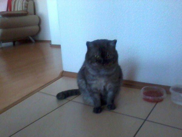 Анастасия Власова