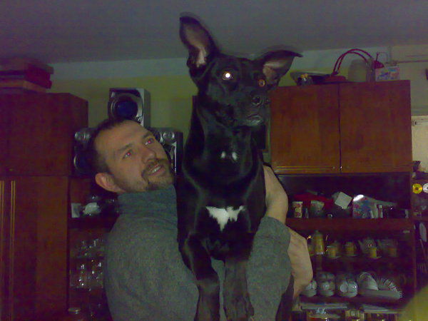 Денис Дмитриев