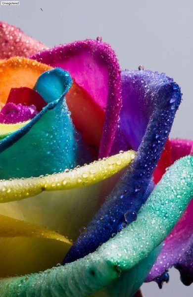 Айнура Замужняя