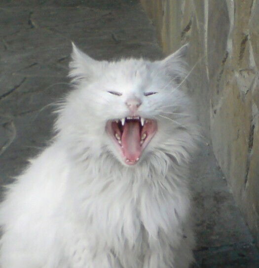 Эдуард Маслюк