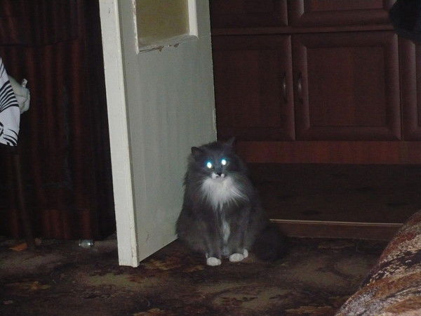 Илья Ермаков