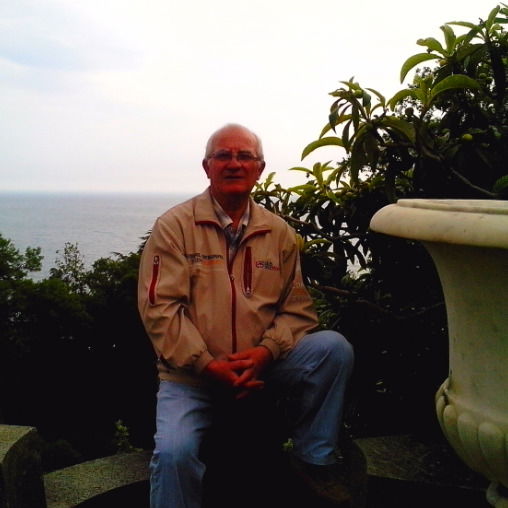 Анатолий Постолов