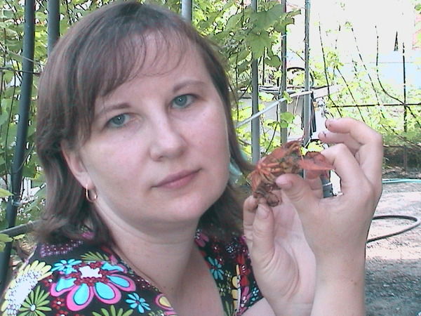 Юлия Толстова