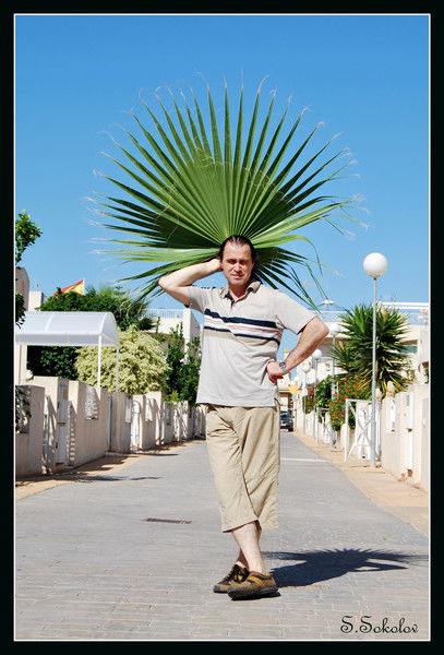 Сергей Соколов