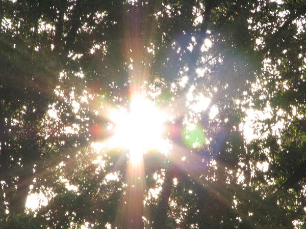 Natalia Vileishikova