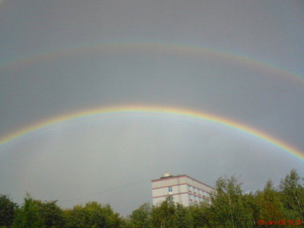 Саша Лебедев