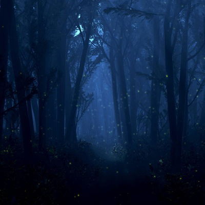 Сергей Комаров