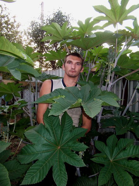 Александр Турченко