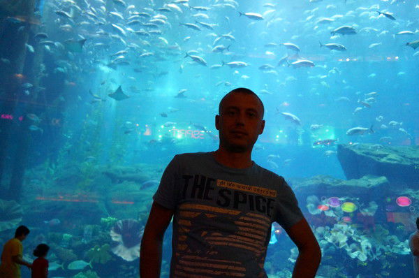 Кулачко Александр