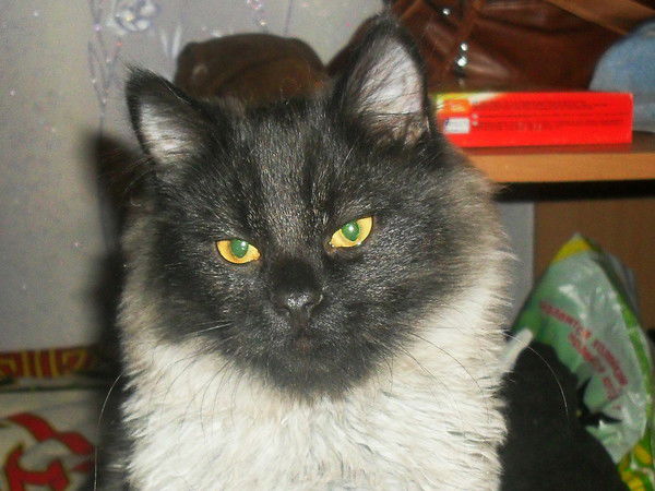 Андрей Русаков