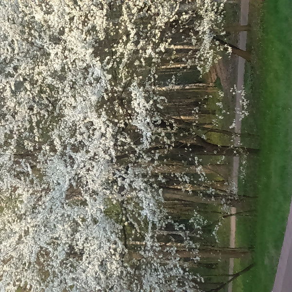 Анастасия Логинова