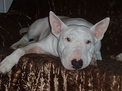 Татьяна Кузнецова