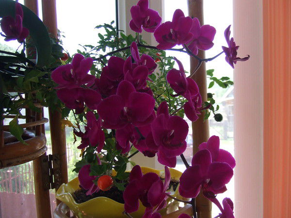 Nina Кузьмина