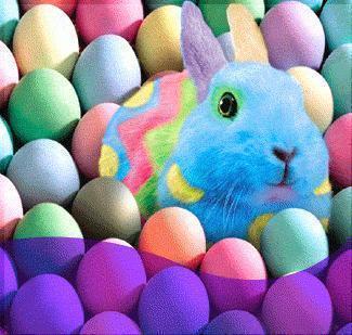 Аллямова Камила