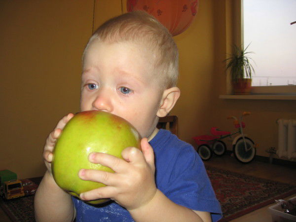 Елена Морозова