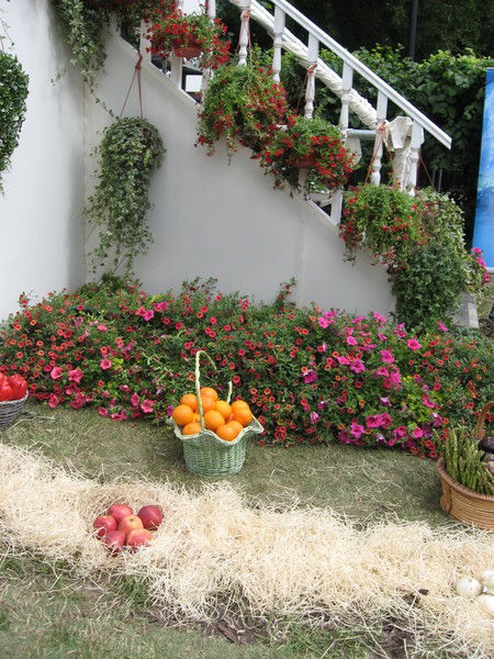 Галина Зимина