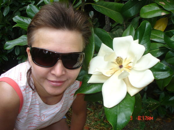 Вилора Горохольская