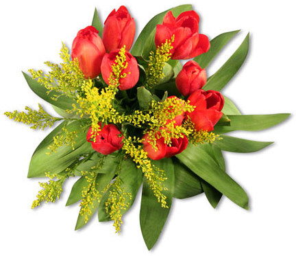 Ольга Романенко