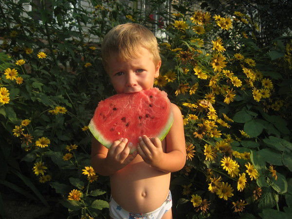 Виктор Забела