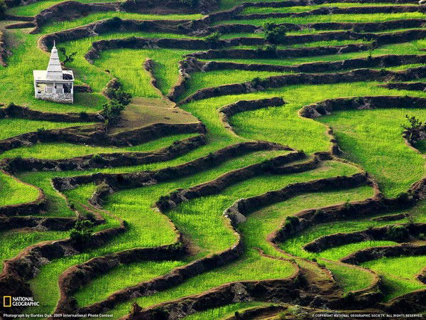 Ирина Аксёнова