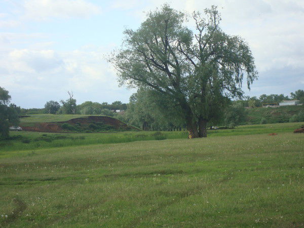 Лилия Минниханова