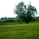 Лилия Минниханова