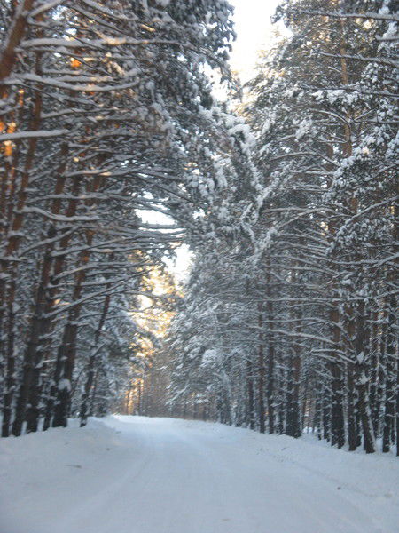 Евгений Осипов