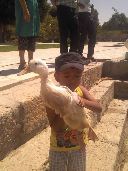 Жахонгир Файзиев