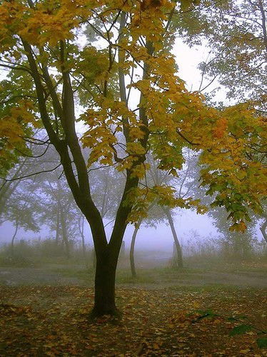 Надежда Боброва/абрамова