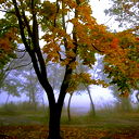 Надежда Боброва/абрамова