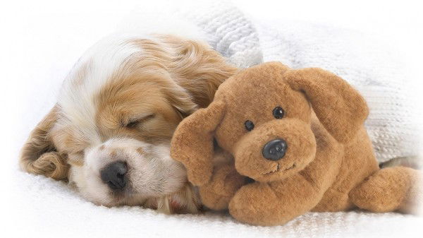 Лариса Синятникова