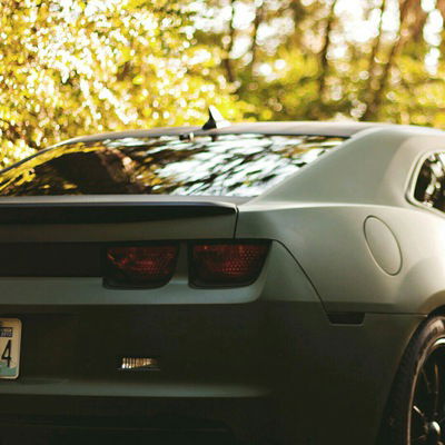 Антон Бородин