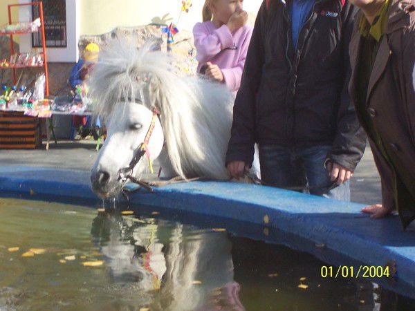 Ирина Лугачёва